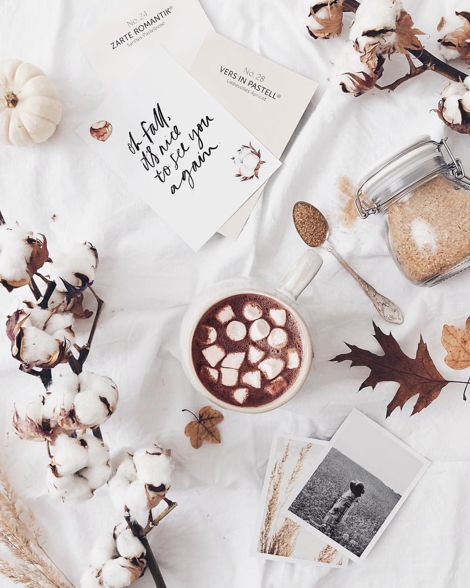 Письменный стол вид сверху