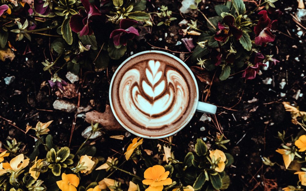 Картинки на рабочий стол кофе