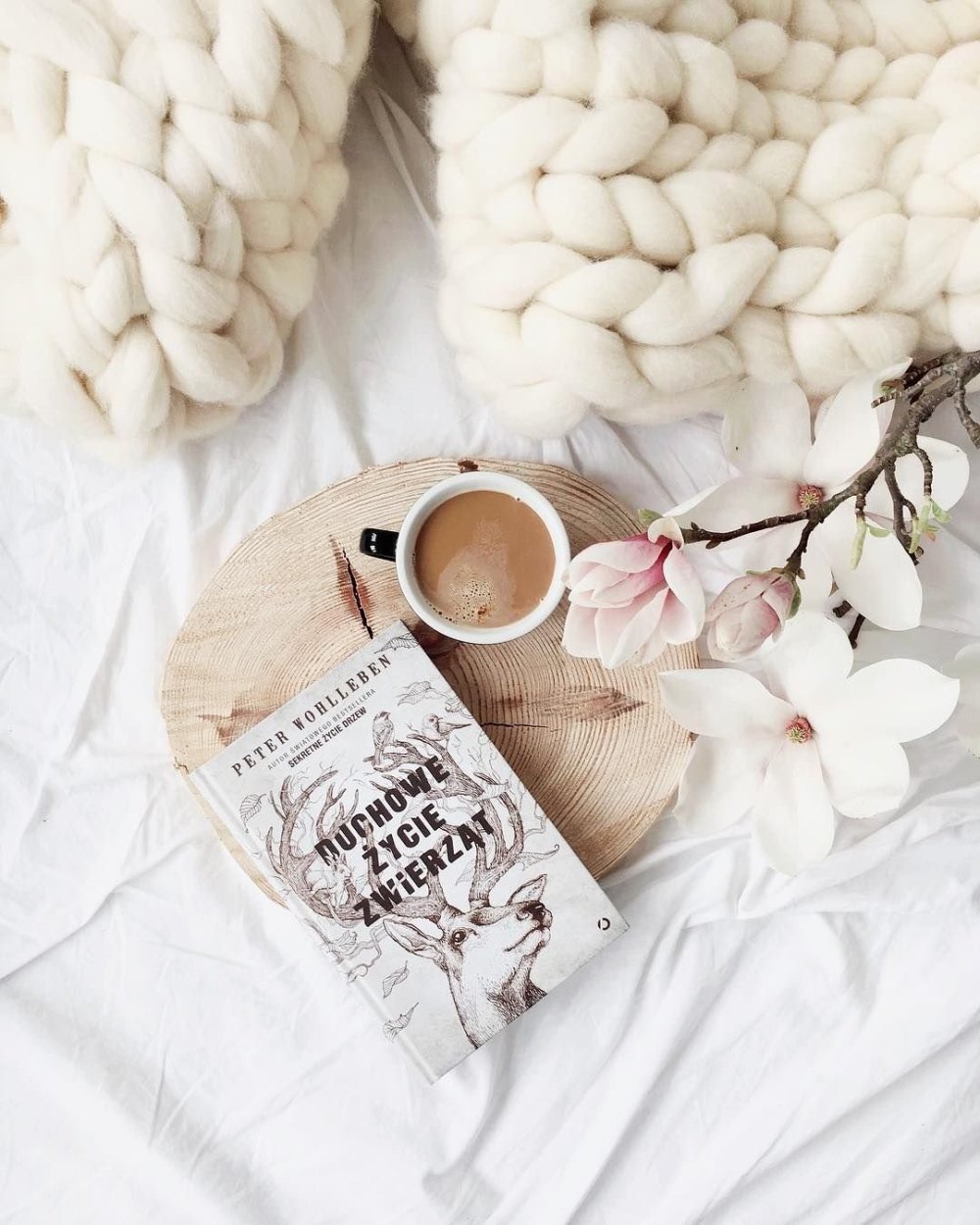 Книга о кофе