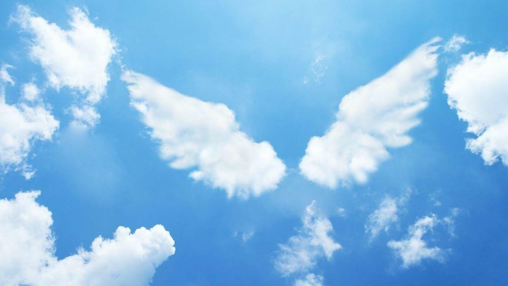 Птицы небесные