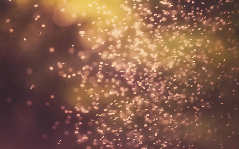 Огненные блики