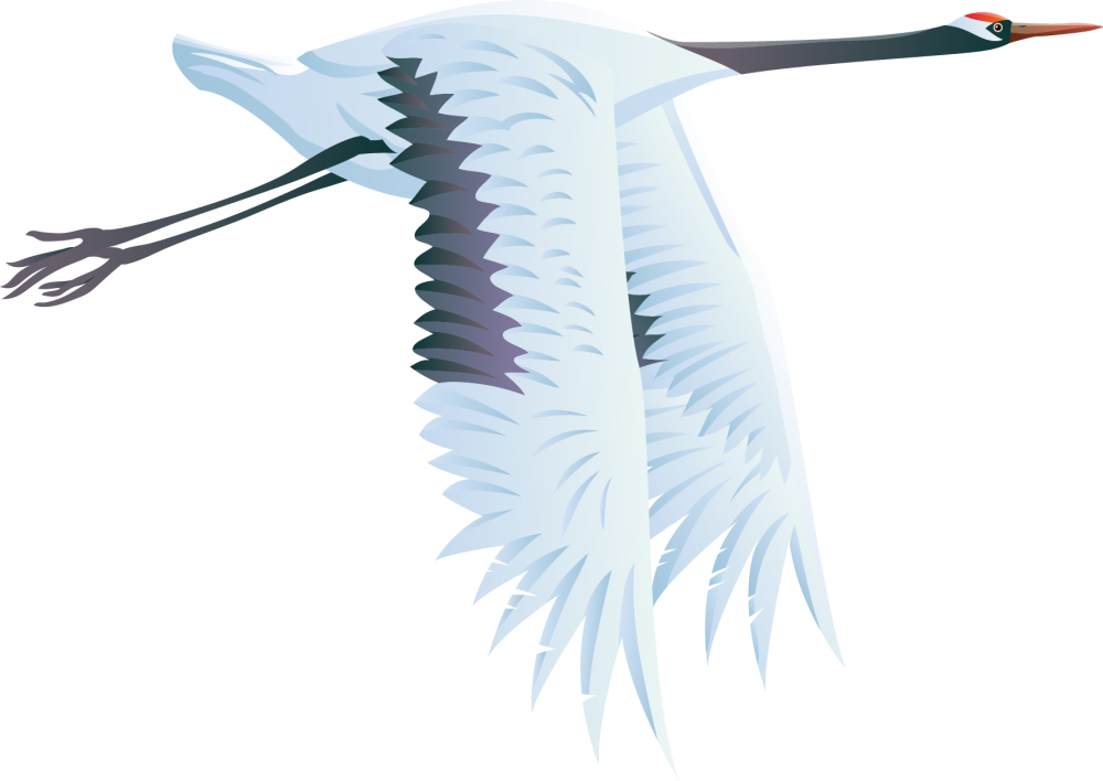 Журавли в небе без фона