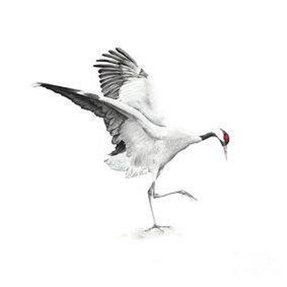 Журавль в полете для украшения окон