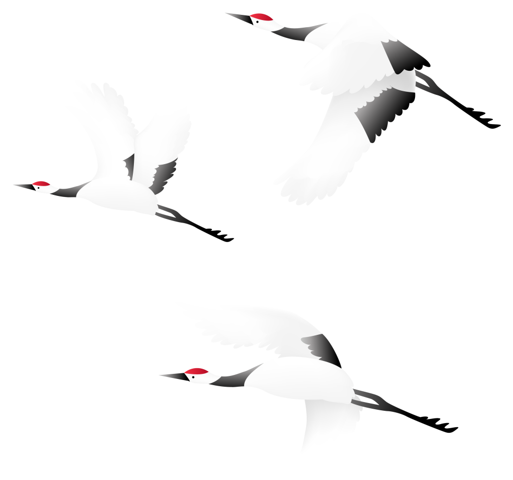 Журавли в небе без фона