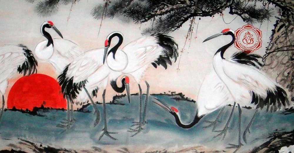 Японский журавль танко