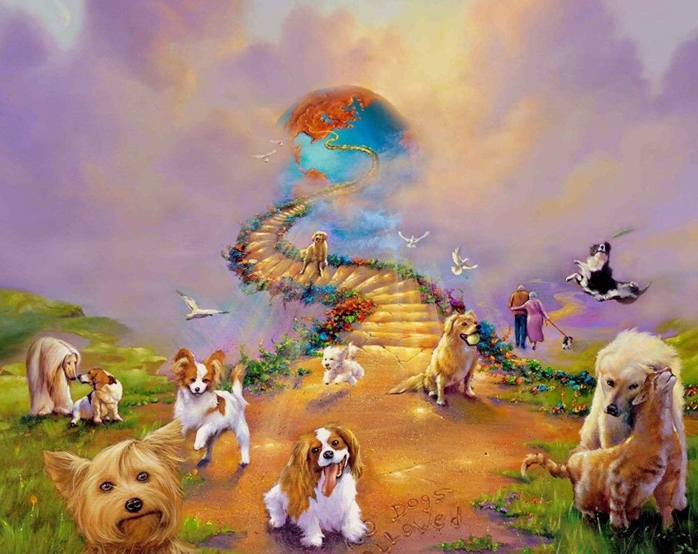 Радужный мост Джим Уоррен