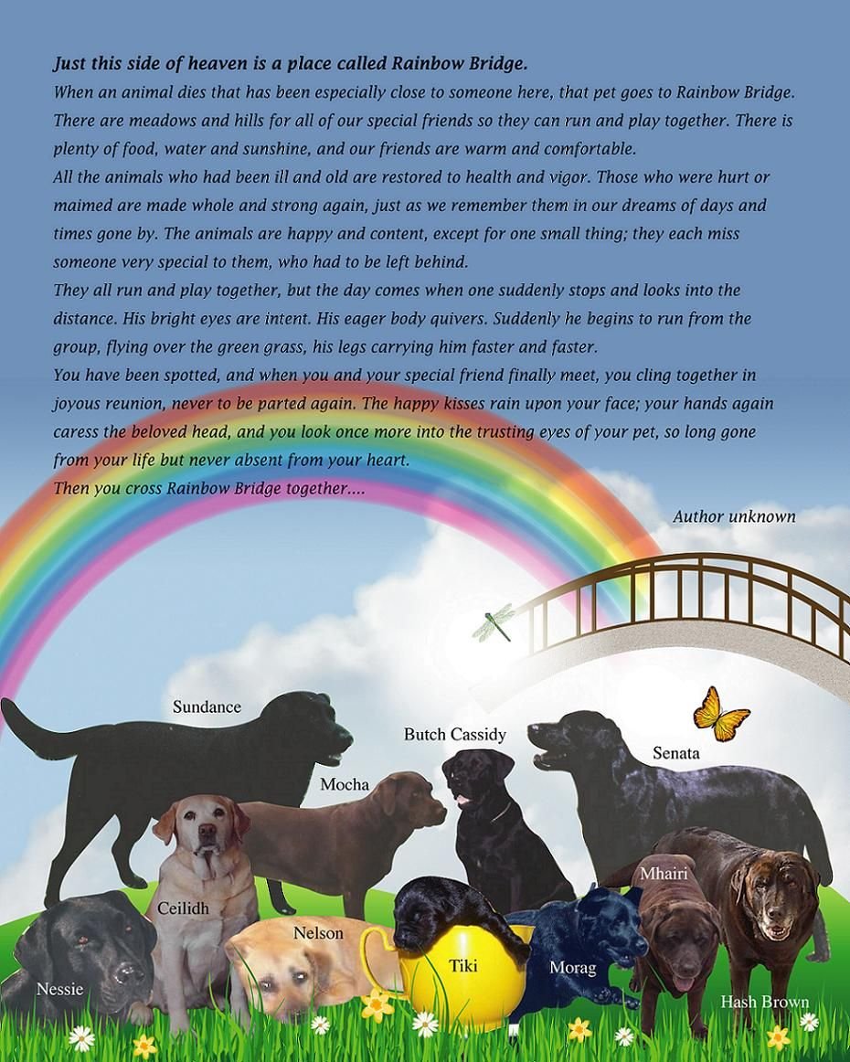 Путь радуги