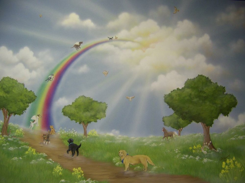 Мост радуги рай для животных