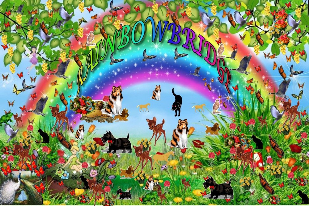 Мультяшный Радужный фон