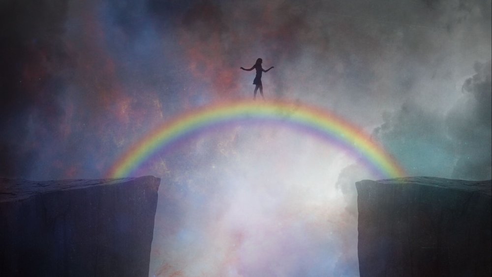 Кот с радугой