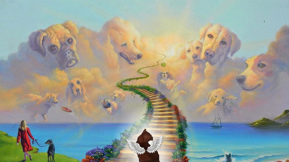 Детские обои Hell ok с собакой