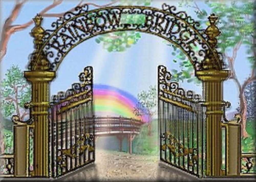 Радуга в небе