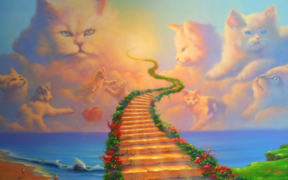 Кошка на небесах