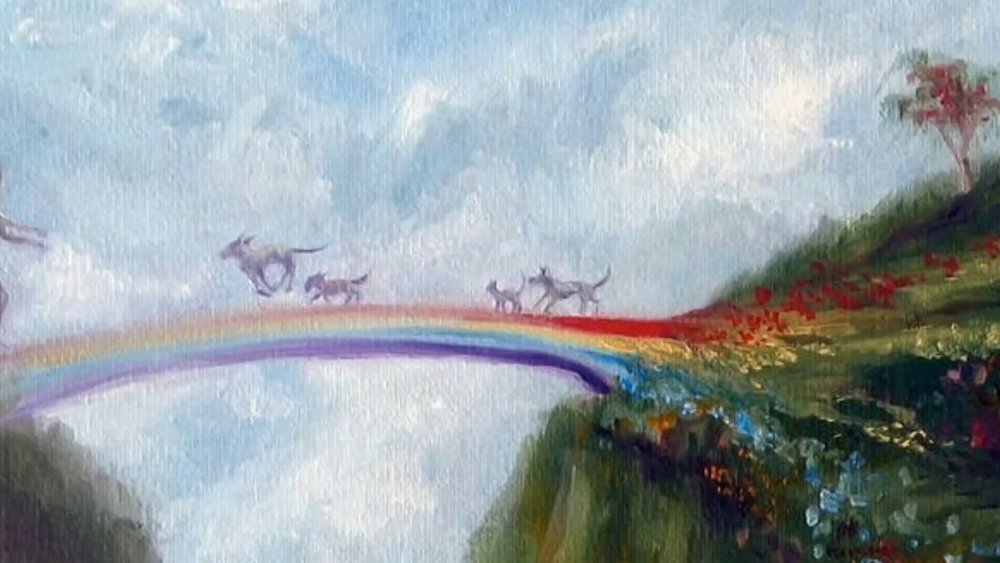 Дружба это чудо Понивилль