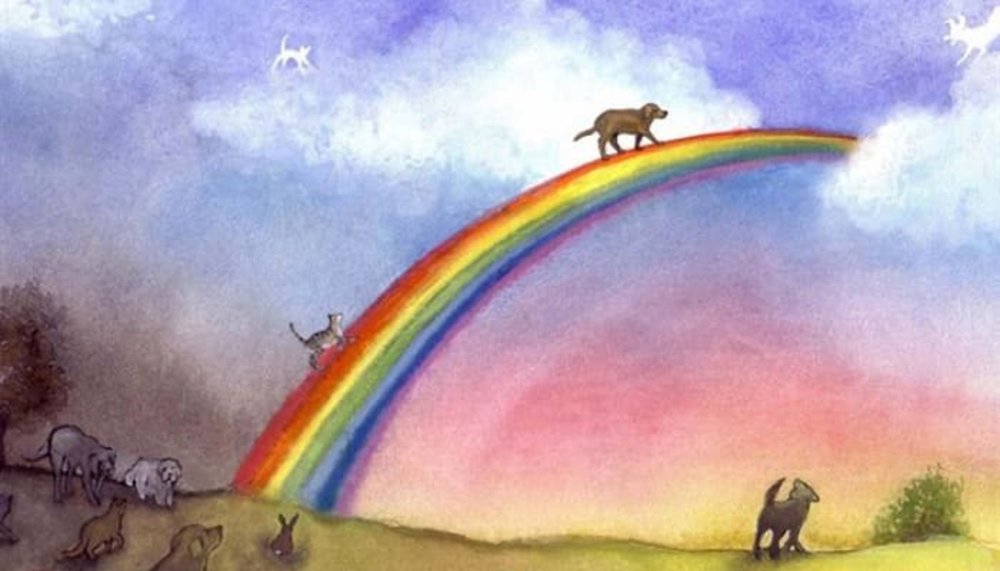 Радуга в небе