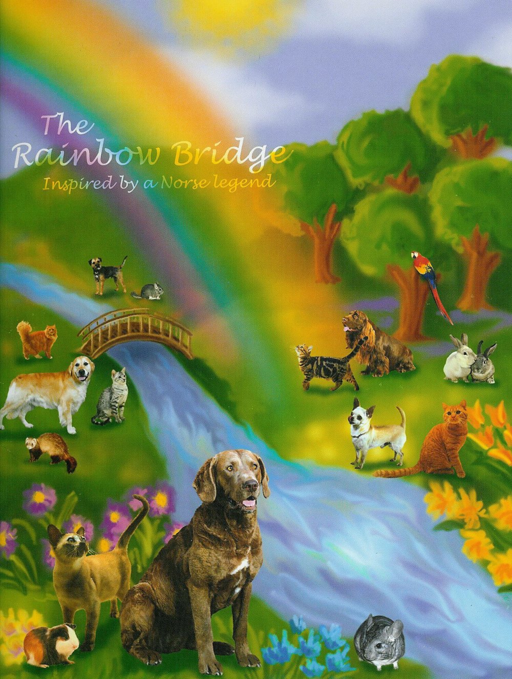 Мост радуги