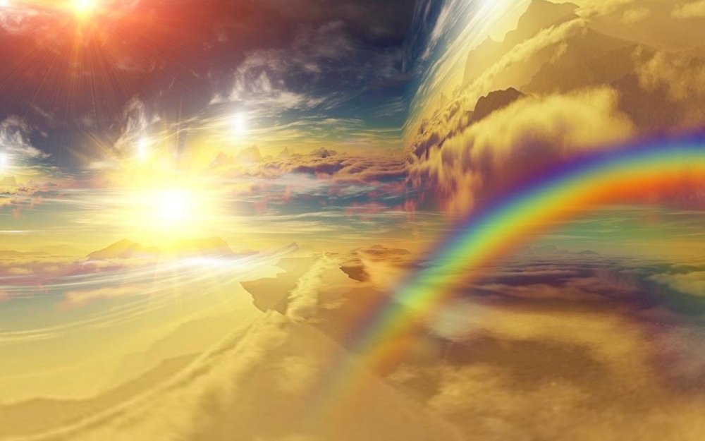 Котенок Радуга