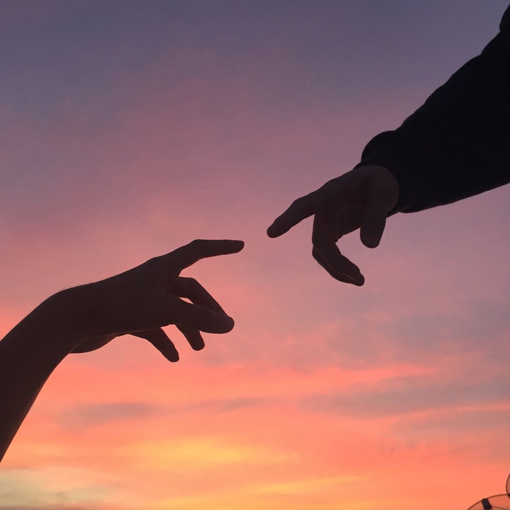 Эстетика дружбы