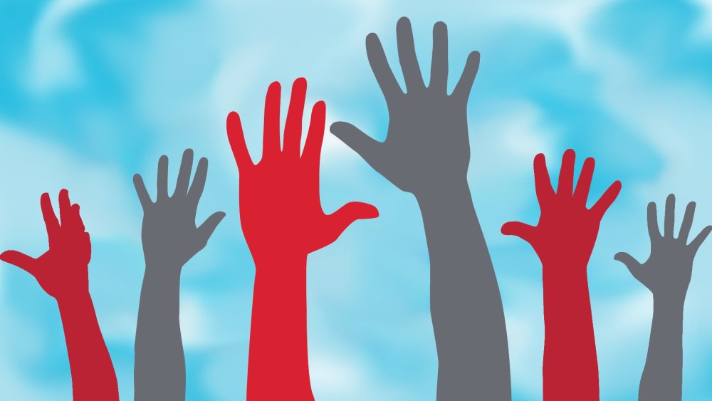 Волонтерский отряд рука к руке картина