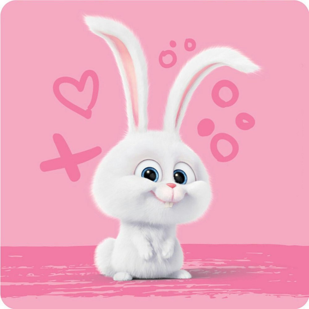 Злой зайчик из мультика