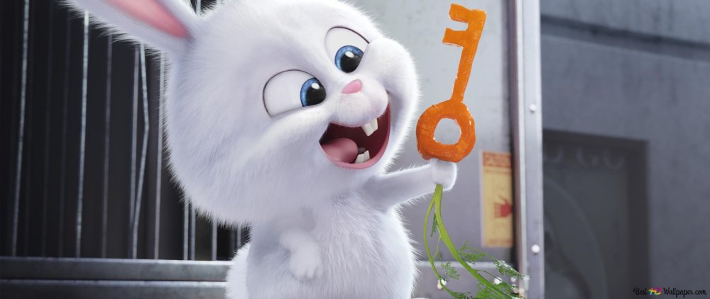 Капитан снежок Тайная жизнь домашних животных