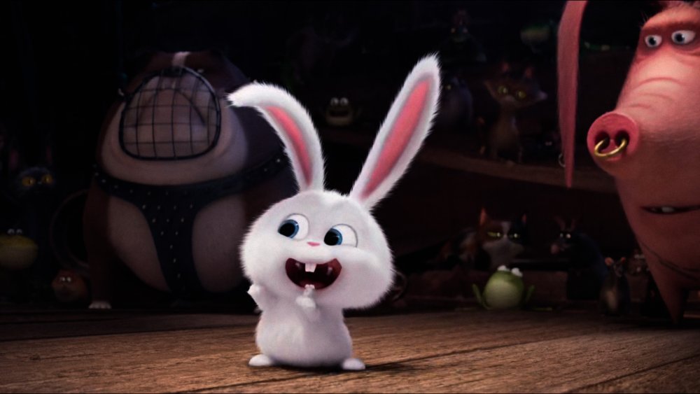 Капитан снежок Тайная жизнь домашних животных 2