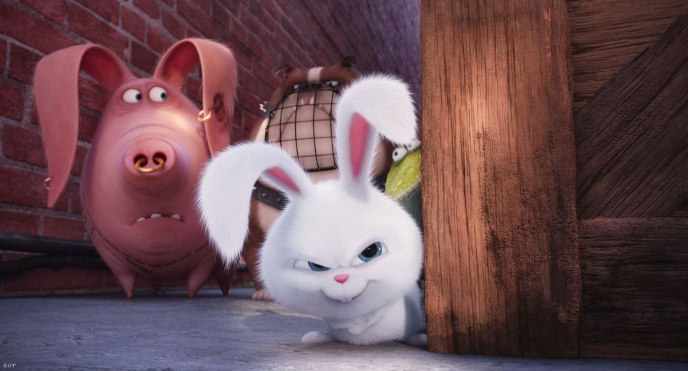 Тайная жизнь домашних животных кролик