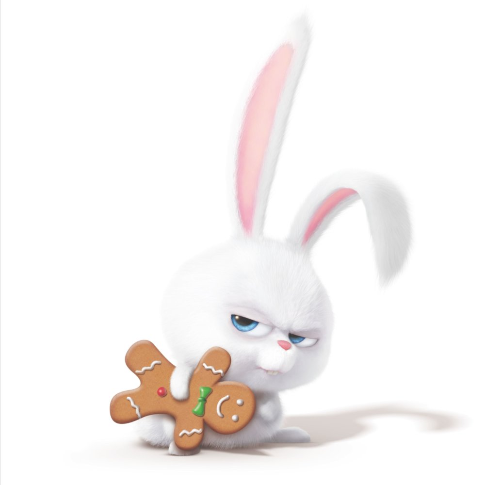 Кролик снежок