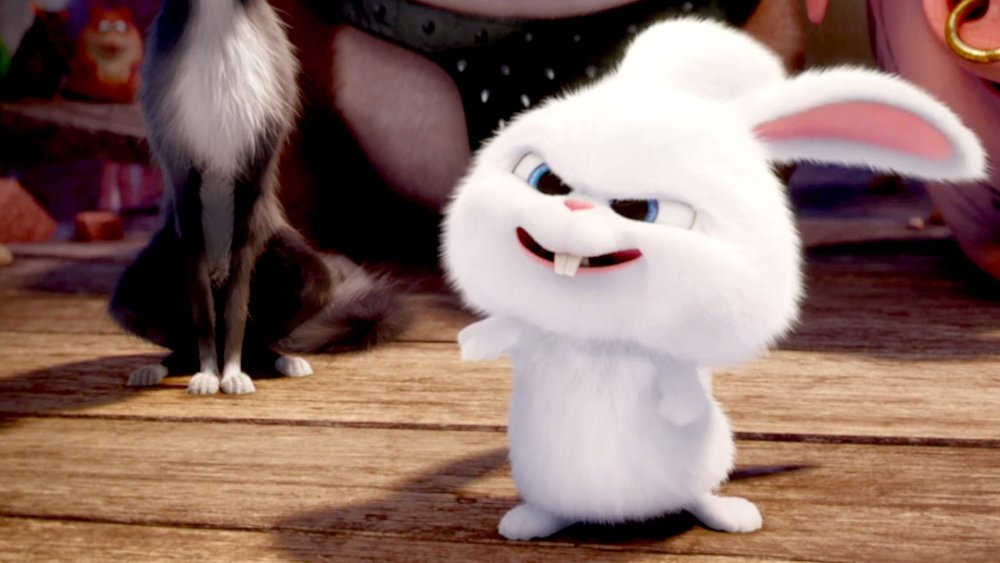 Тайная жизнь домашних животныхкполик