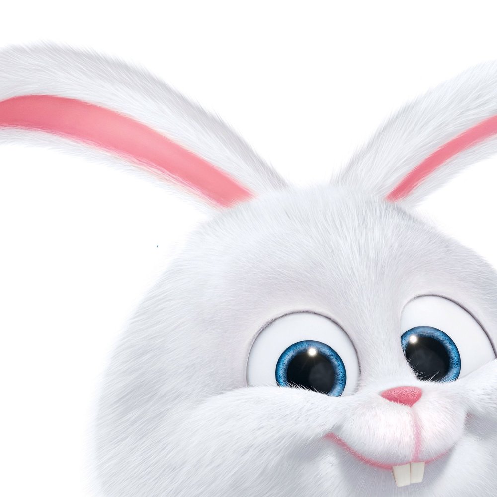 Тайная жизнь домашних животных кролик