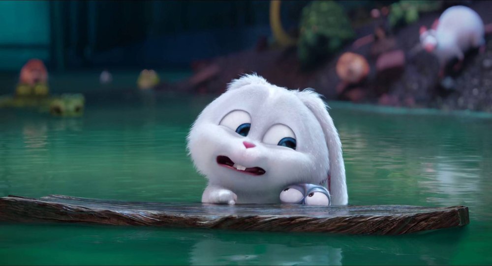 Тайная жизнь домашних животных кролик злой