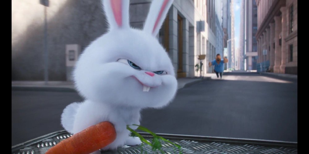 Тайная жизнь домашних животных кролик