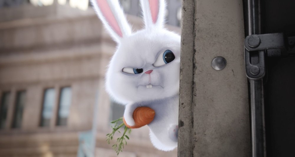 Тайная жизнь домашних животных кролик