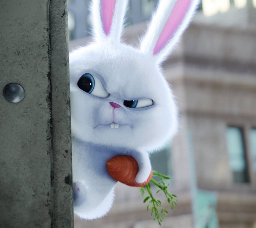 The Secret Life of Pets Snowball