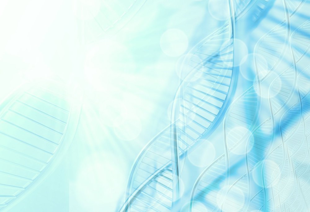 Подложка медицина