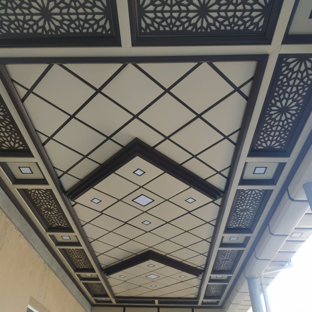 Потолки из тунукафона