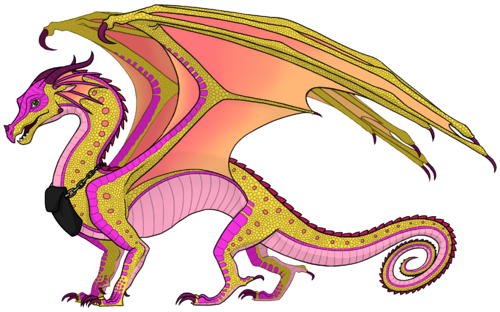 Кинкажу Драконья сага