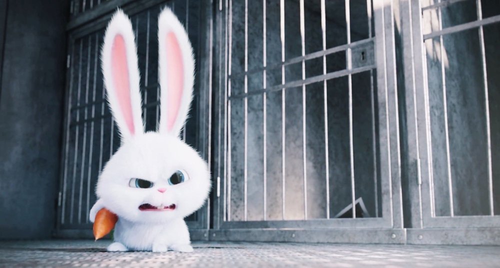 Злой кролик