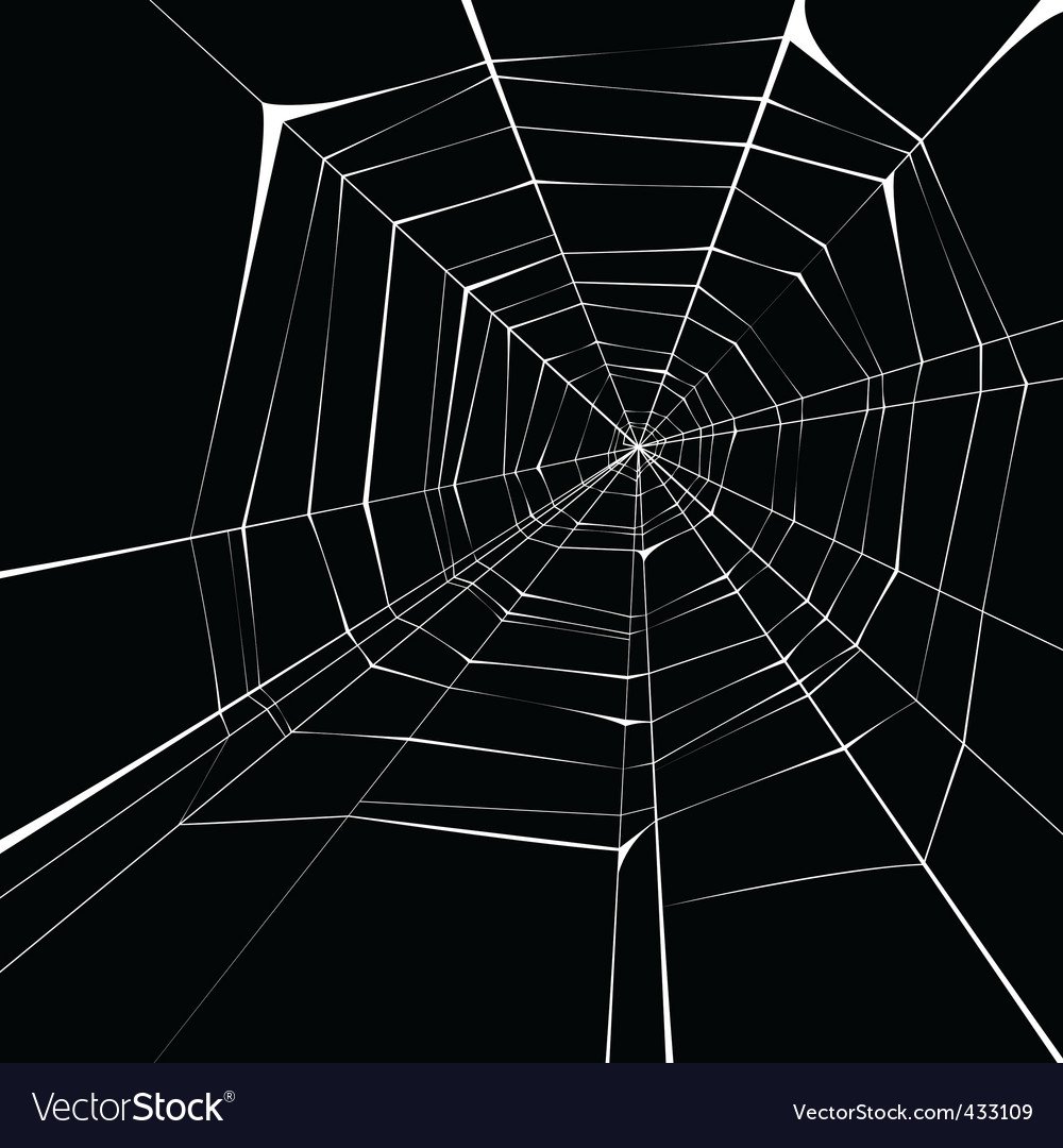 Паутина в углу без фона