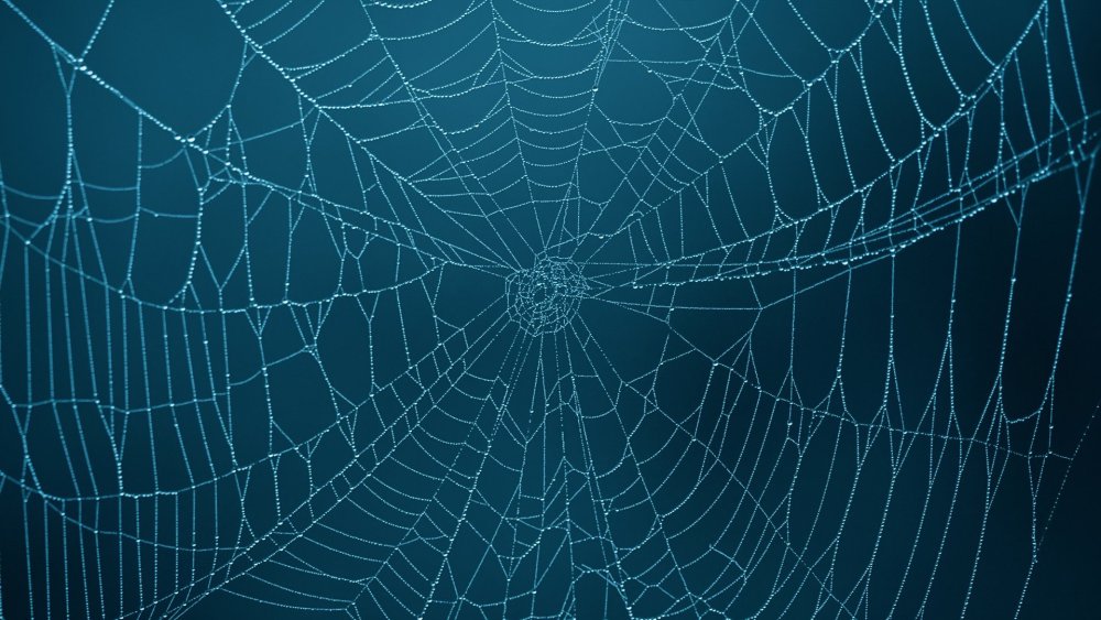 Паутина референс