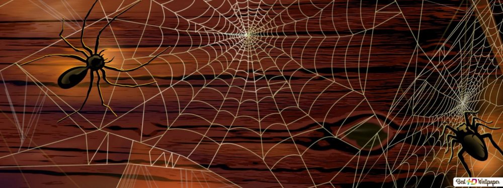 Spider man паутина фон