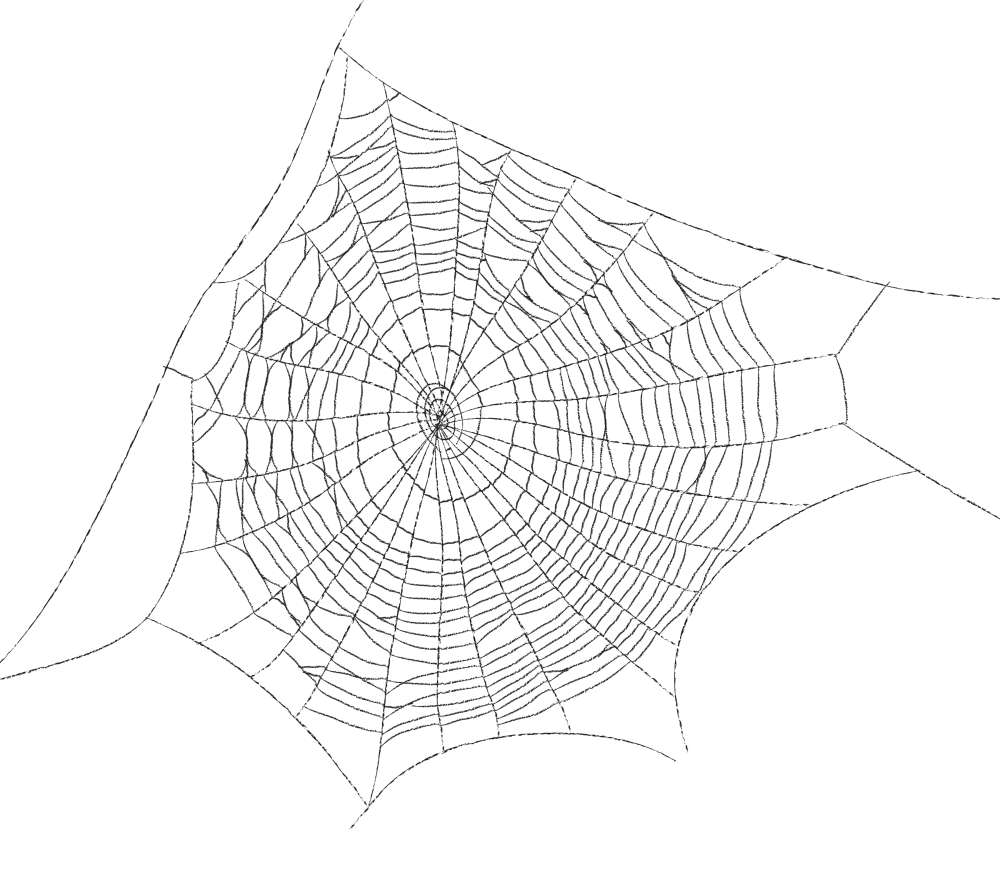 Сетка человека паука