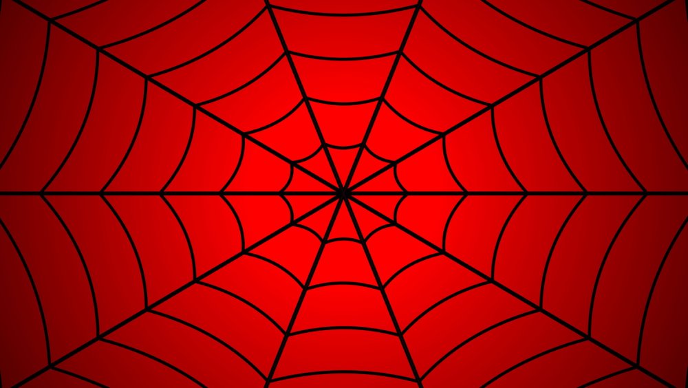 Паутина на черном фоне