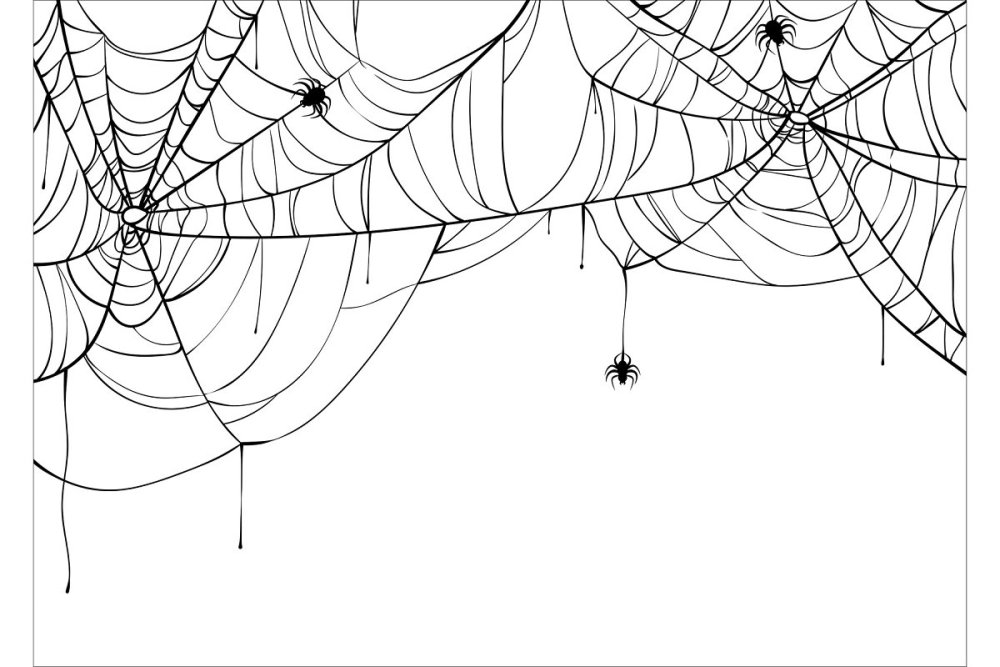 Паутина фон