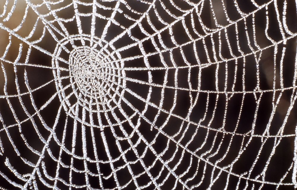 Человек паук фон