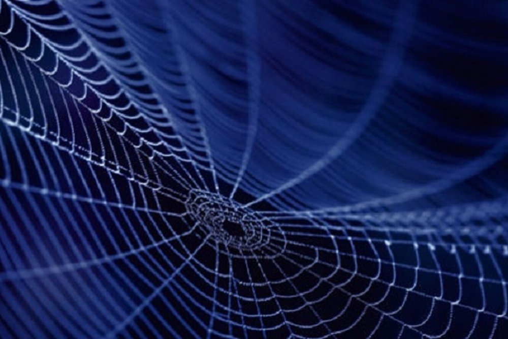 Синяя паутина