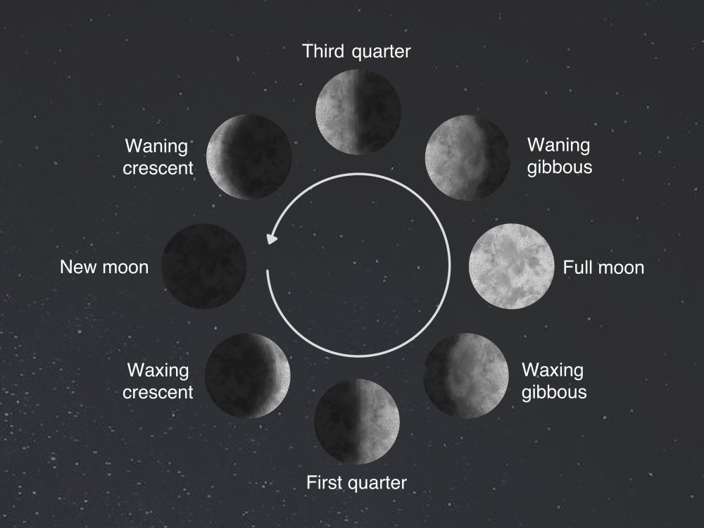 Фаза растущей Луны
