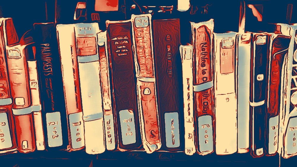 Эстетика писателя