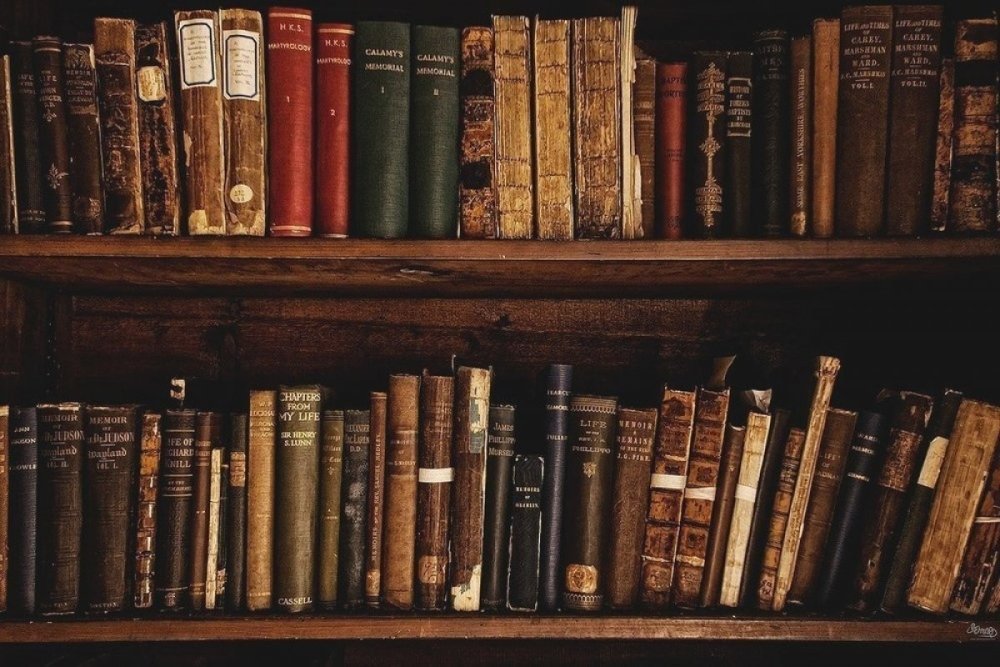 Белая книга