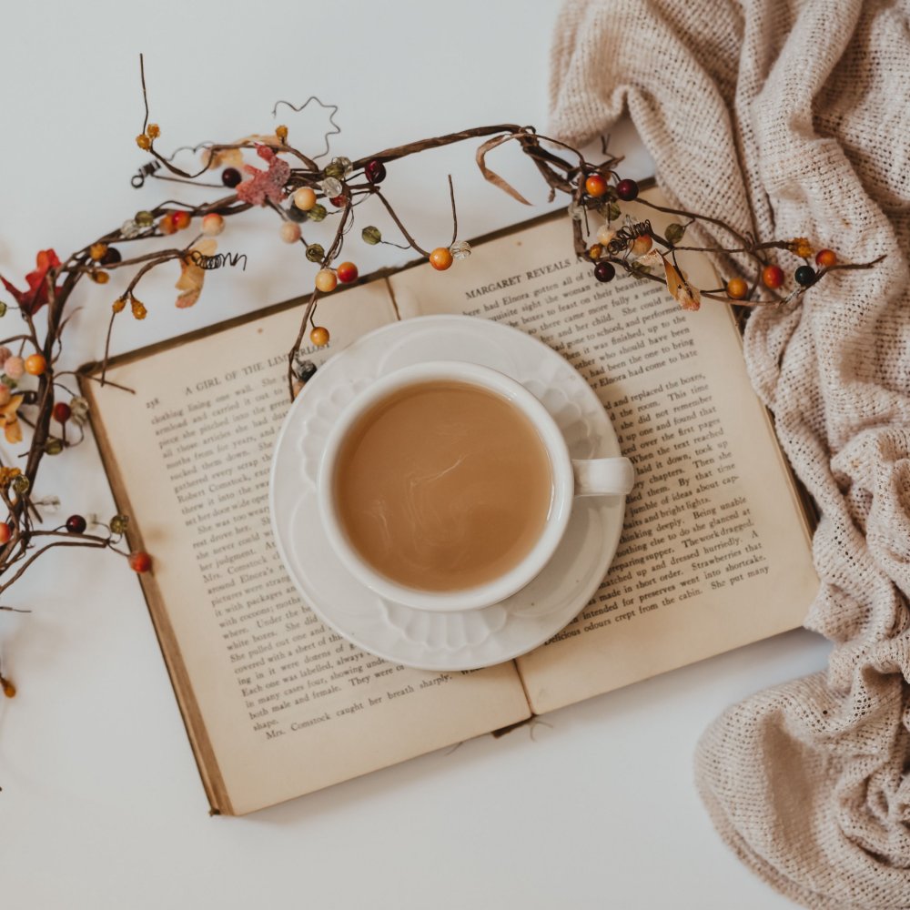 Роза и книга картинки